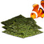Your one-stop shop for diverse, top-quality aquarium supplies and accessories