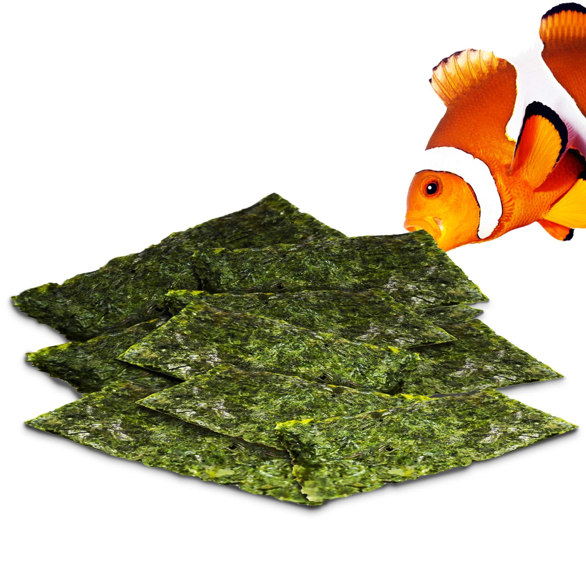 Your one-stop shop for diverse, top-quality aquarium supplies and accessories