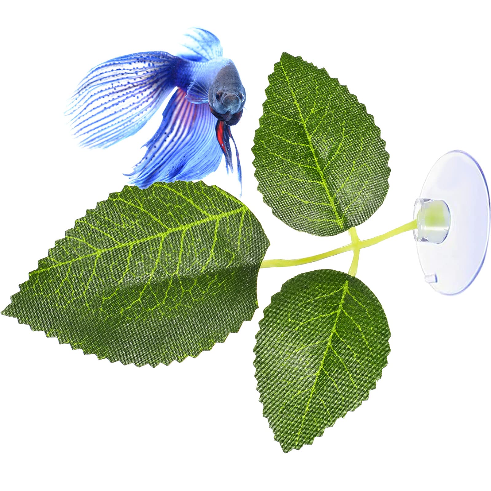 Your one-stop shop for diverse, top-quality aquarium supplies and accessories