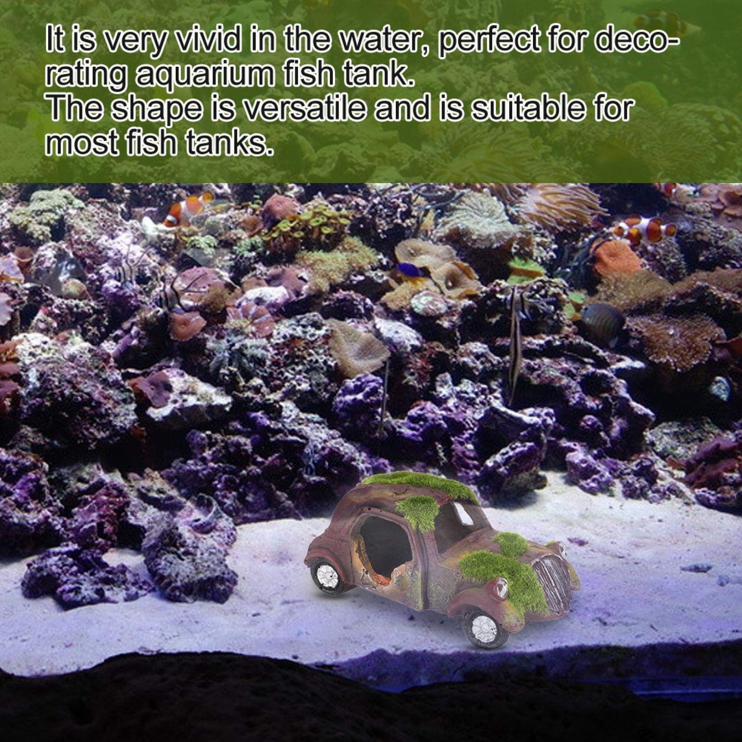 Your one-stop shop for diverse, top-quality aquarium supplies and accessories