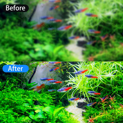 Your one-stop shop for diverse, top-quality aquarium supplies and accessories