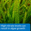 Your one-stop shop for diverse, top-quality aquarium supplies and accessories
