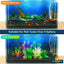 Your one-stop shop for diverse, top-quality aquarium supplies and accessories