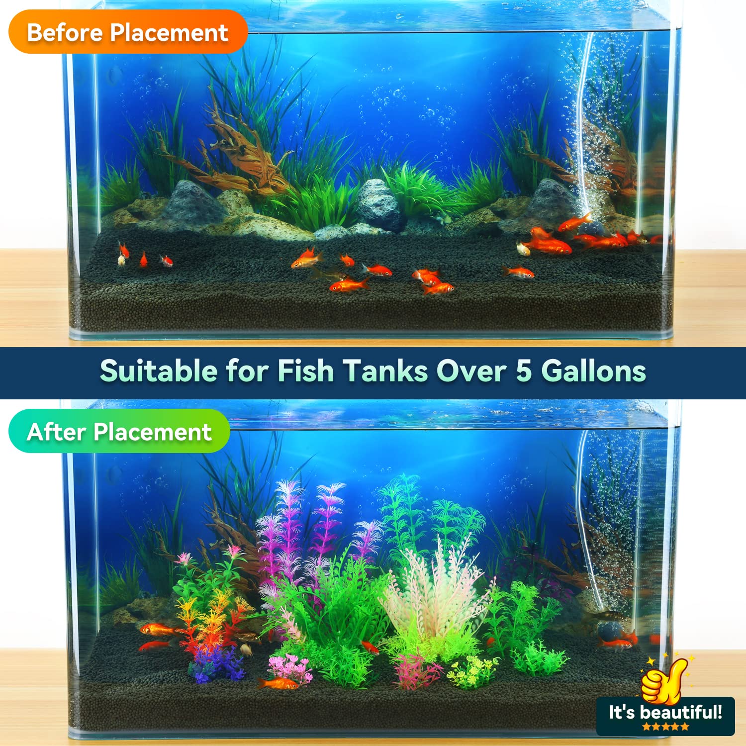 Your one-stop shop for diverse, top-quality aquarium supplies and accessories