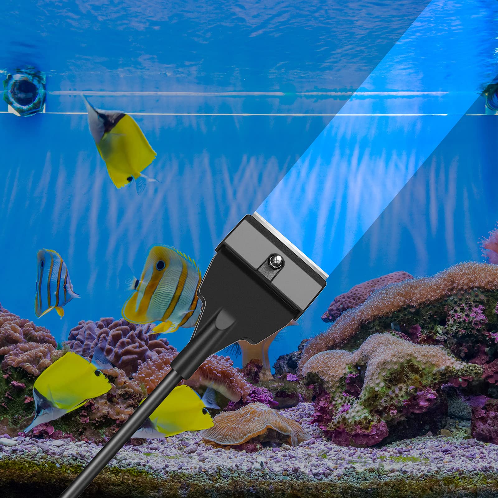 Your one-stop shop for diverse, top-quality aquarium supplies and accessories