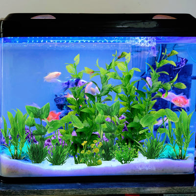 Your one-stop shop for diverse, top-quality aquarium supplies and accessories