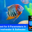 Your one-stop shop for diverse, top-quality aquarium supplies and accessories