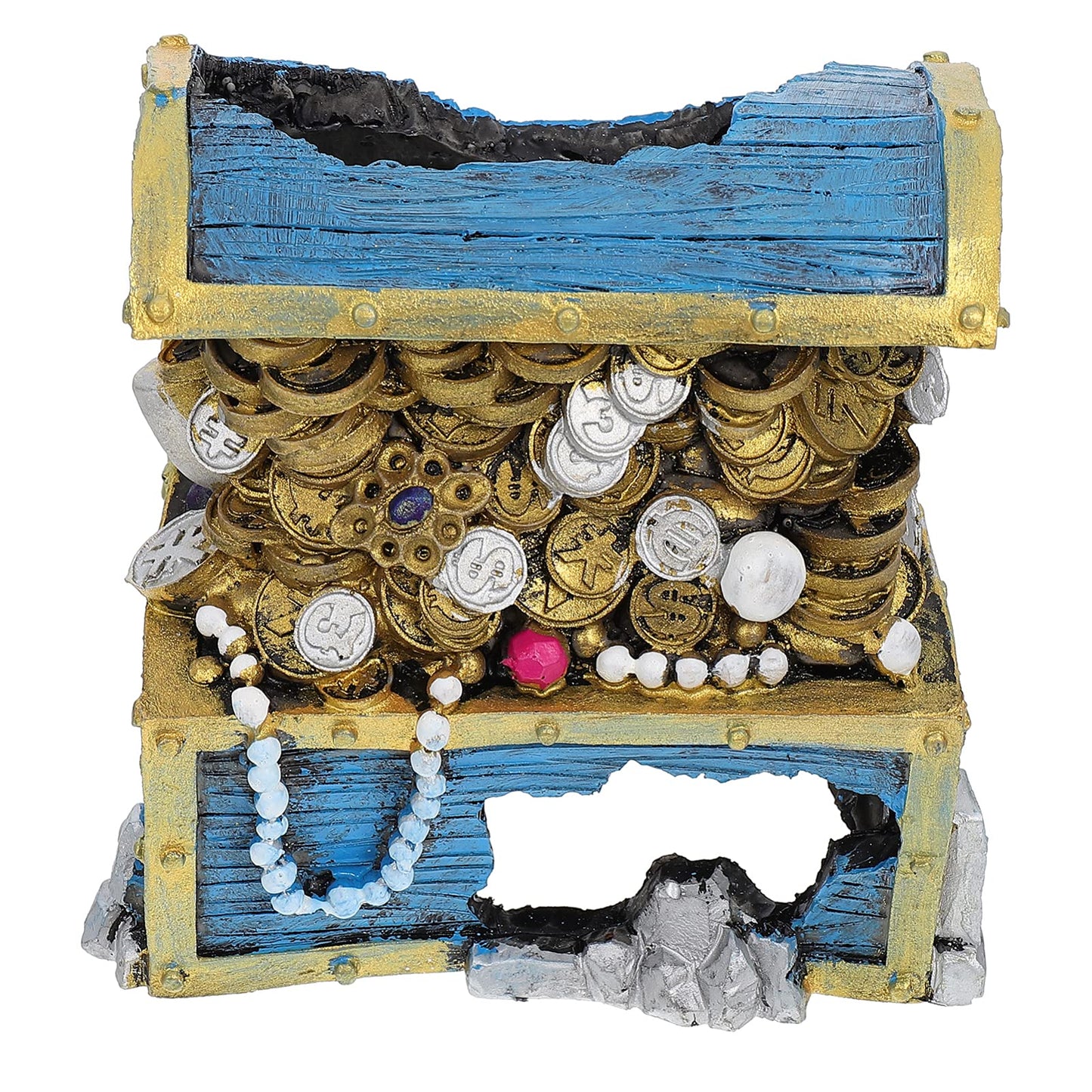 Your one-stop shop for diverse, top-quality aquarium supplies and accessories