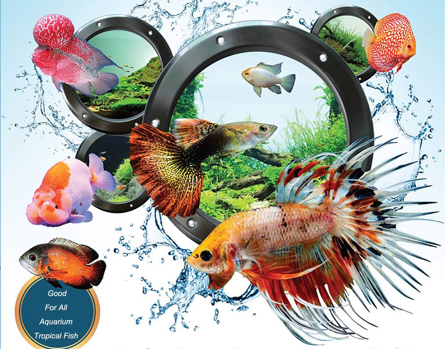 Your one-stop shop for diverse, top-quality aquarium supplies and accessories