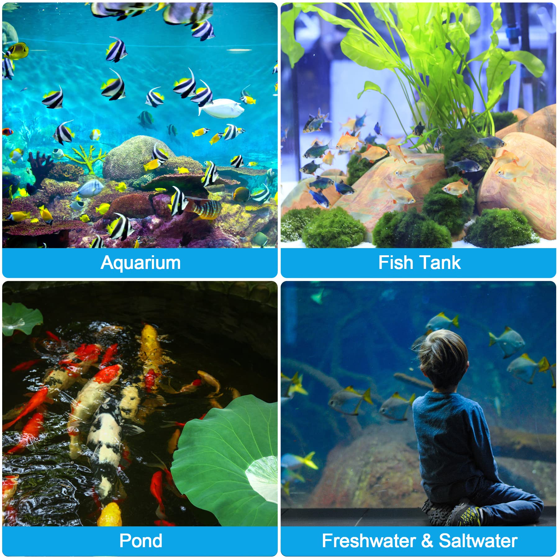 Your one-stop shop for diverse, top-quality aquarium supplies and accessories