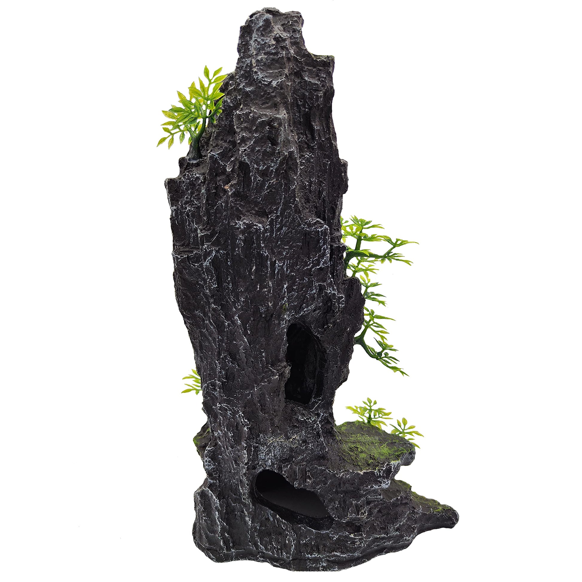 Your one-stop shop for diverse, top-quality aquarium supplies and accessories