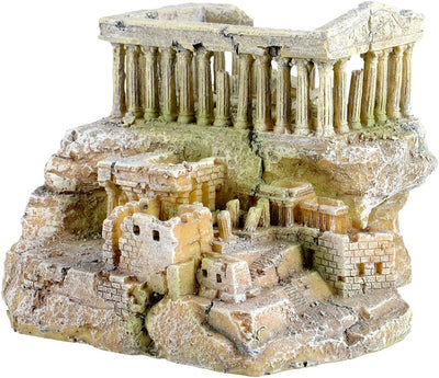 Your one-stop shop for diverse, top-quality aquarium supplies and accessories