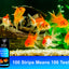 Your one-stop shop for diverse, top-quality aquarium supplies and accessories