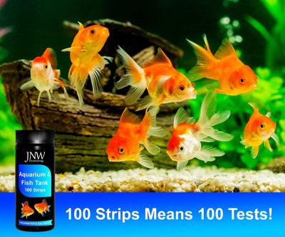 Your one-stop shop for diverse, top-quality aquarium supplies and accessories
