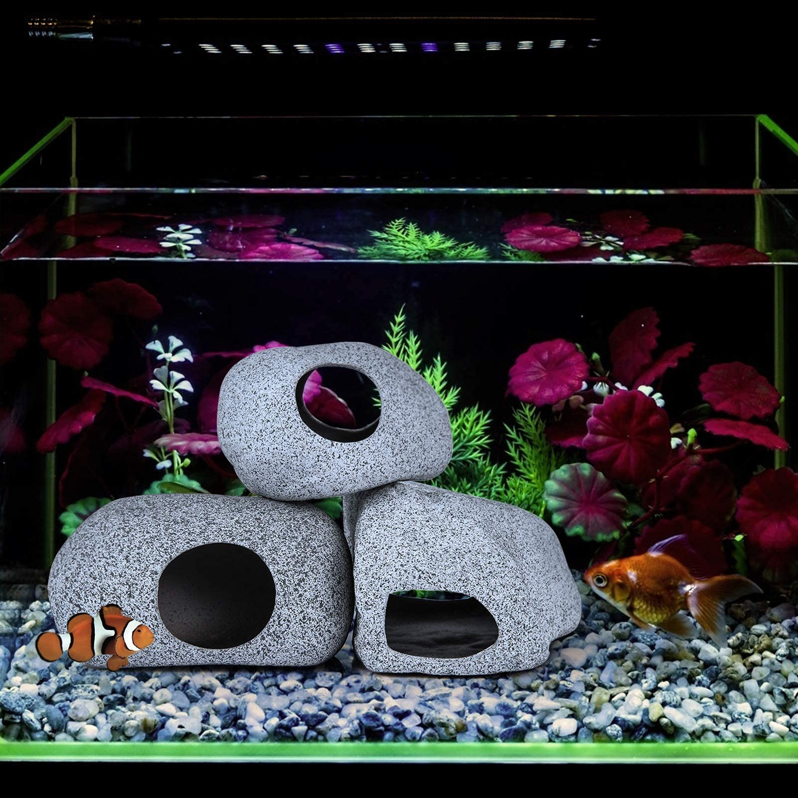 Your one-stop shop for diverse, top-quality aquarium supplies and accessories