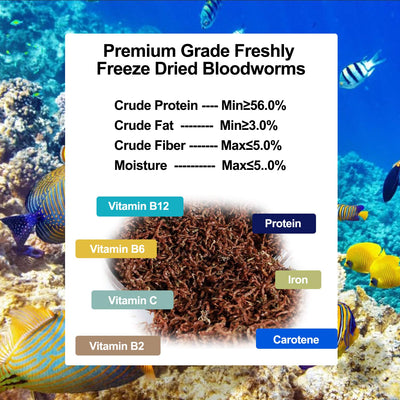 Your one-stop shop for diverse, top-quality aquarium supplies and accessories