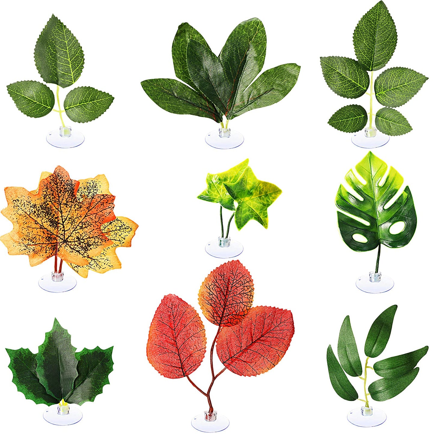 Your one-stop shop for diverse, top-quality aquarium supplies and accessories