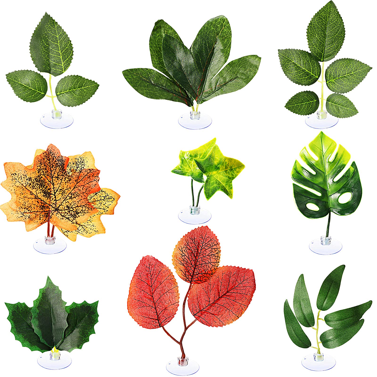 Your one-stop shop for diverse, top-quality aquarium supplies and accessories