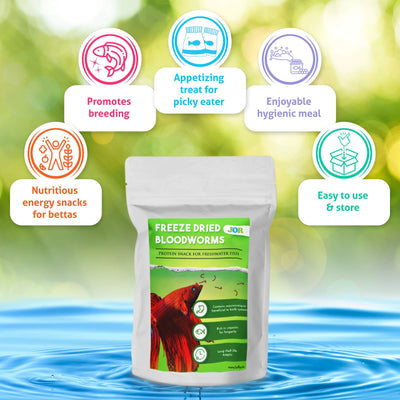 Your one-stop shop for diverse, top-quality aquarium supplies and accessories