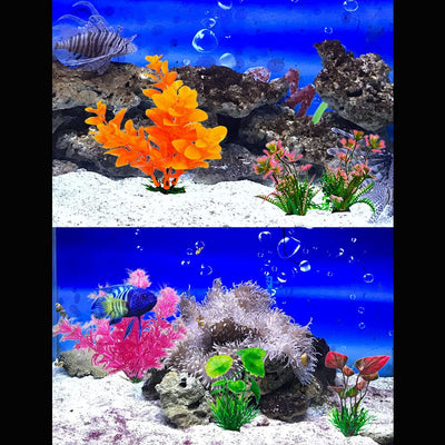 Your one-stop shop for diverse, top-quality aquarium supplies and accessories