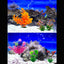 Your one-stop shop for diverse, top-quality aquarium supplies and accessories