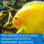 Your one-stop shop for diverse, top-quality aquarium supplies and accessories