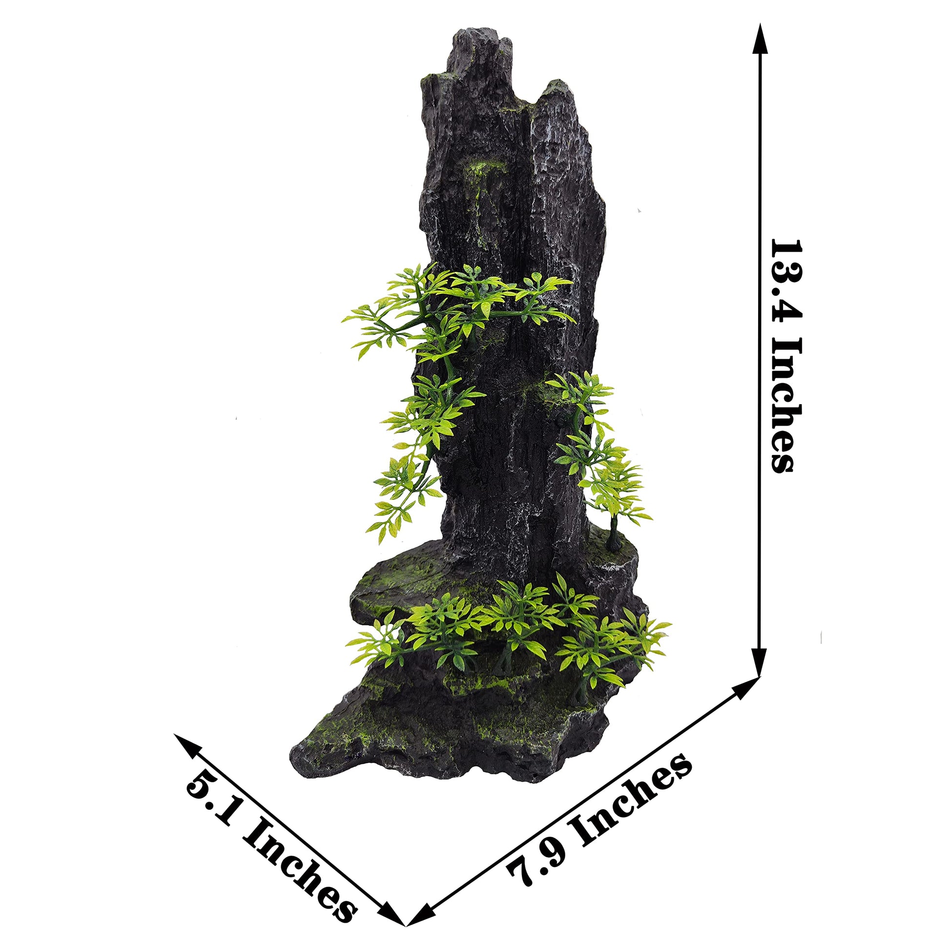 Your one-stop shop for diverse, top-quality aquarium supplies and accessories