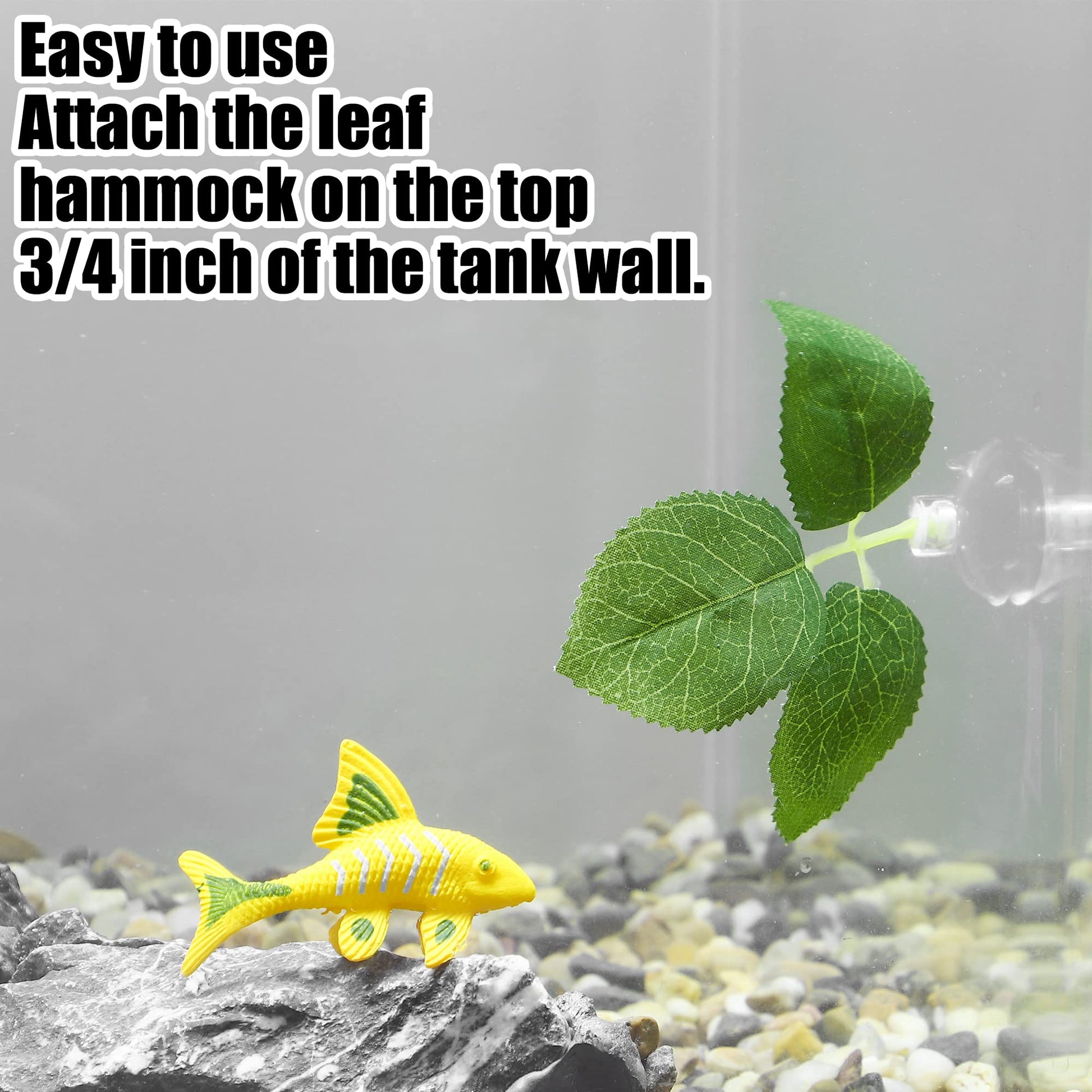 Your one-stop shop for diverse, top-quality aquarium supplies and accessories