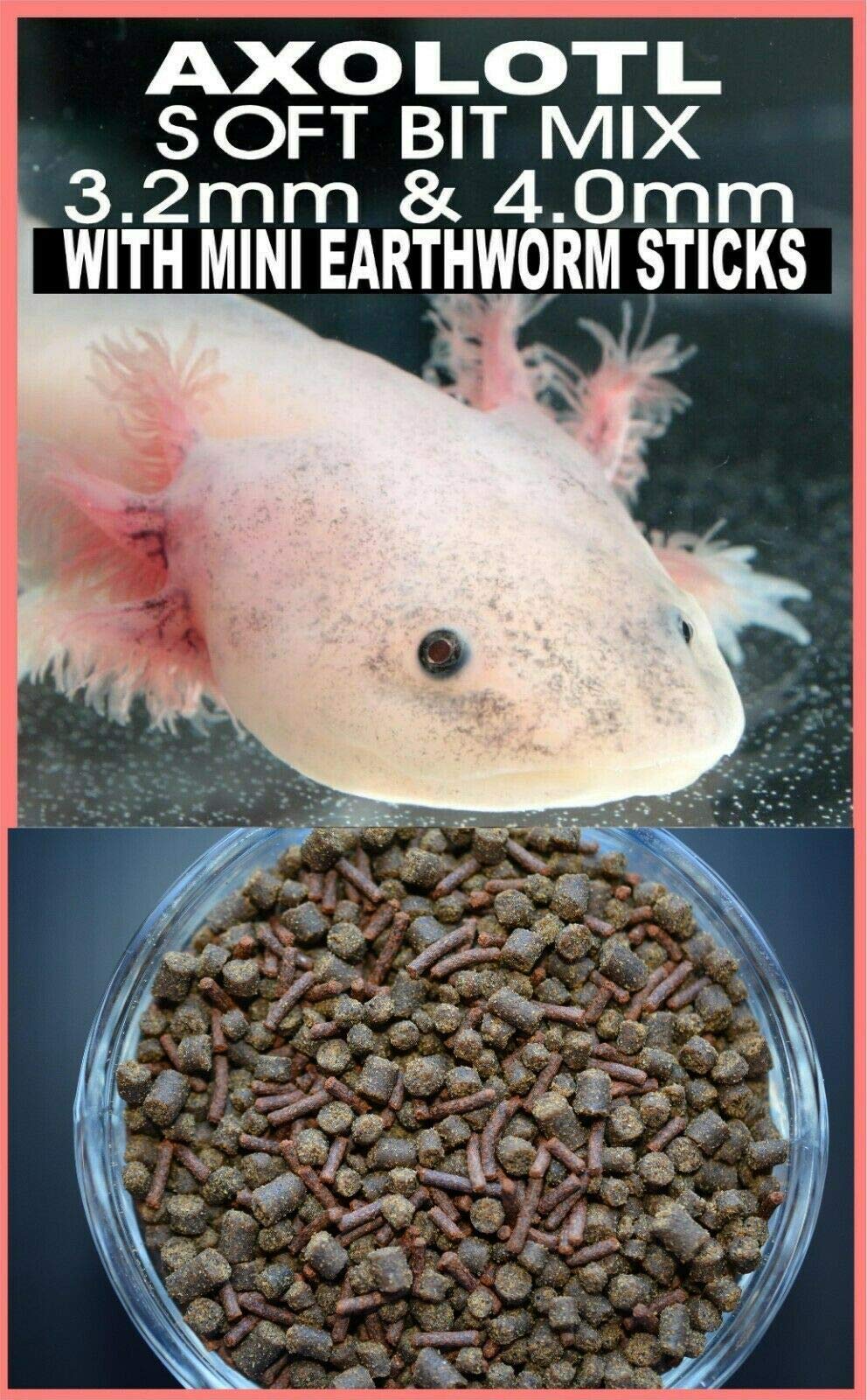 Your one-stop shop for diverse, top-quality aquarium supplies and accessories