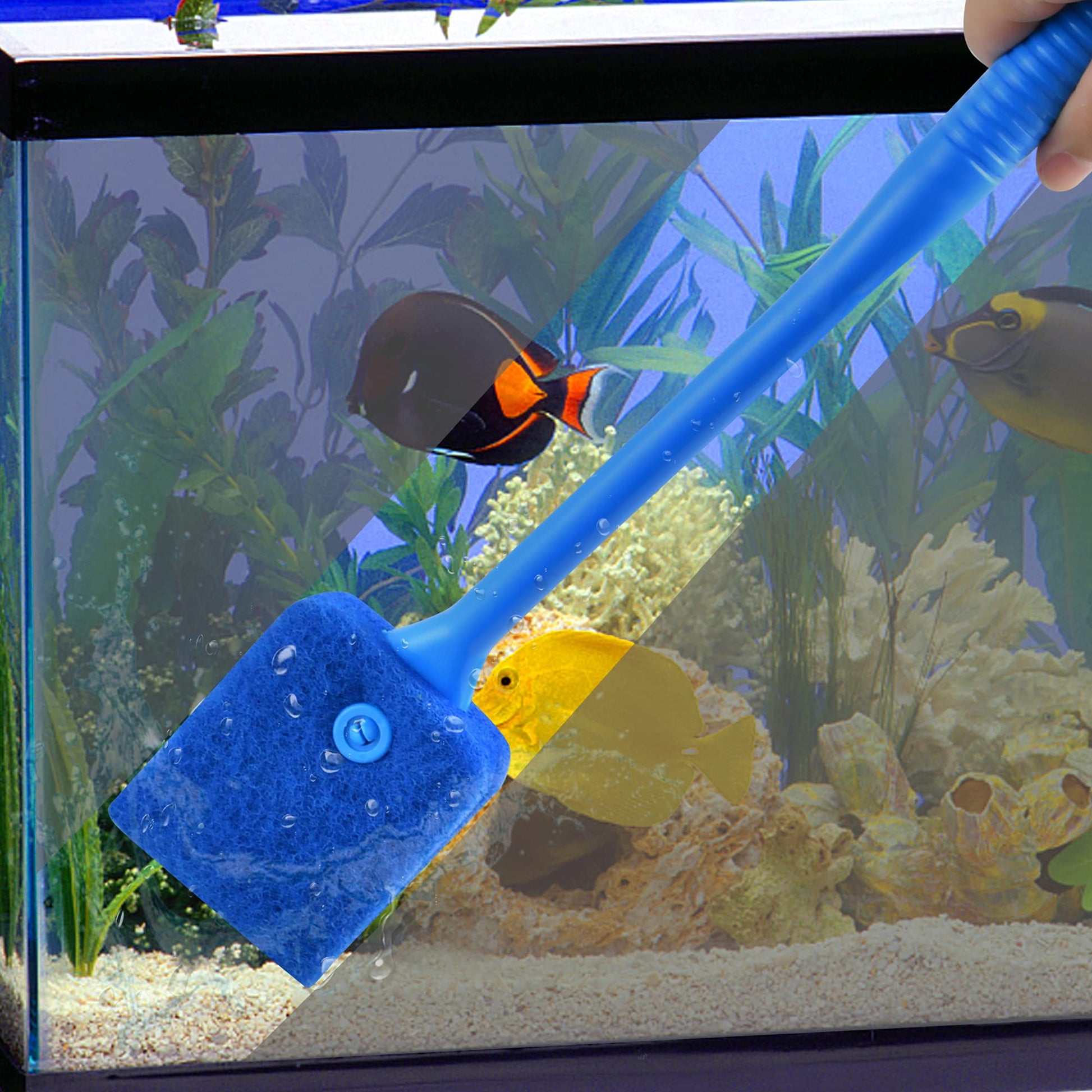 Your one-stop shop for diverse, top-quality aquarium supplies and accessories