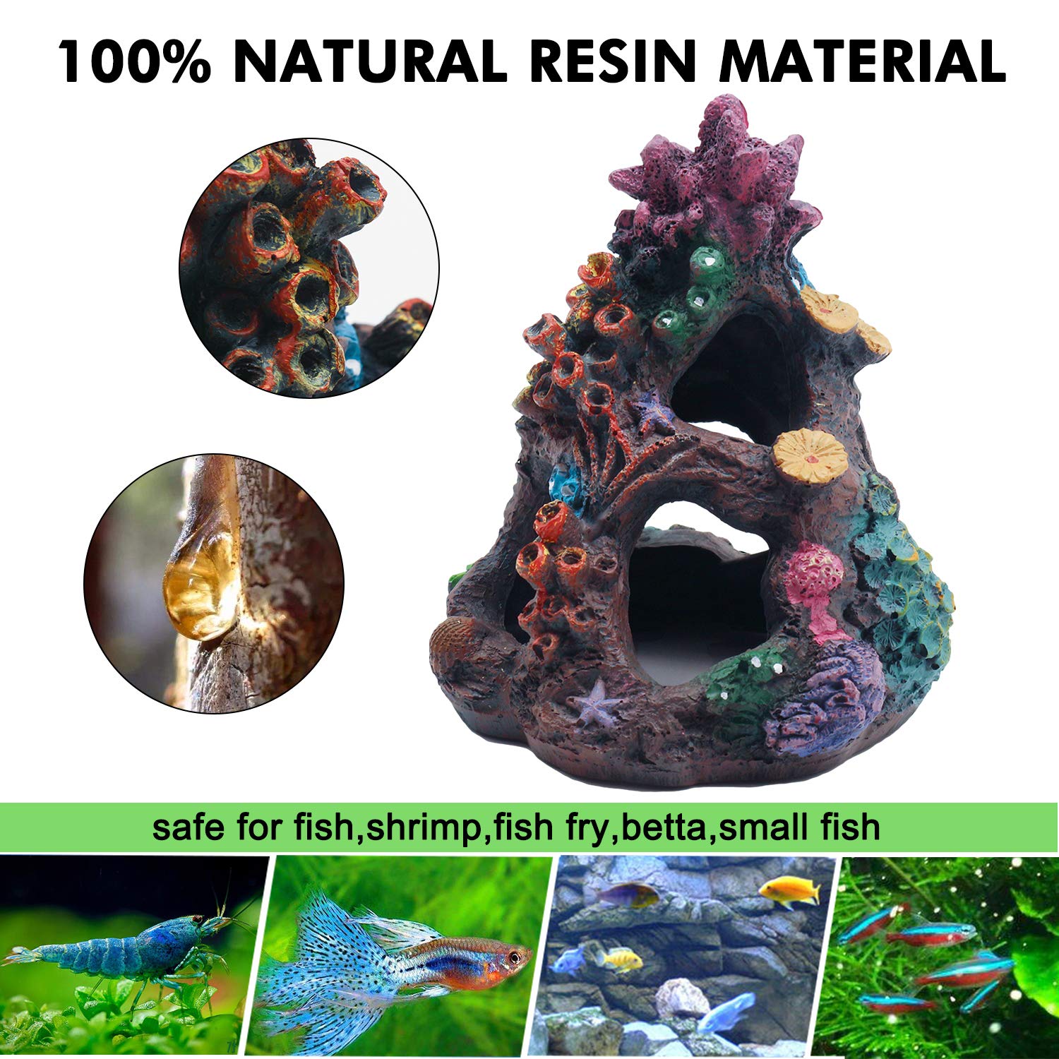Your one-stop shop for diverse, top-quality aquarium supplies and accessories