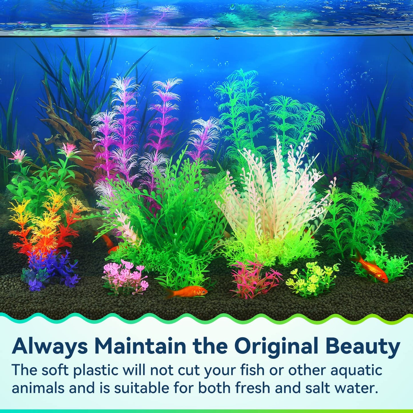 Your one-stop shop for diverse, top-quality aquarium supplies and accessories