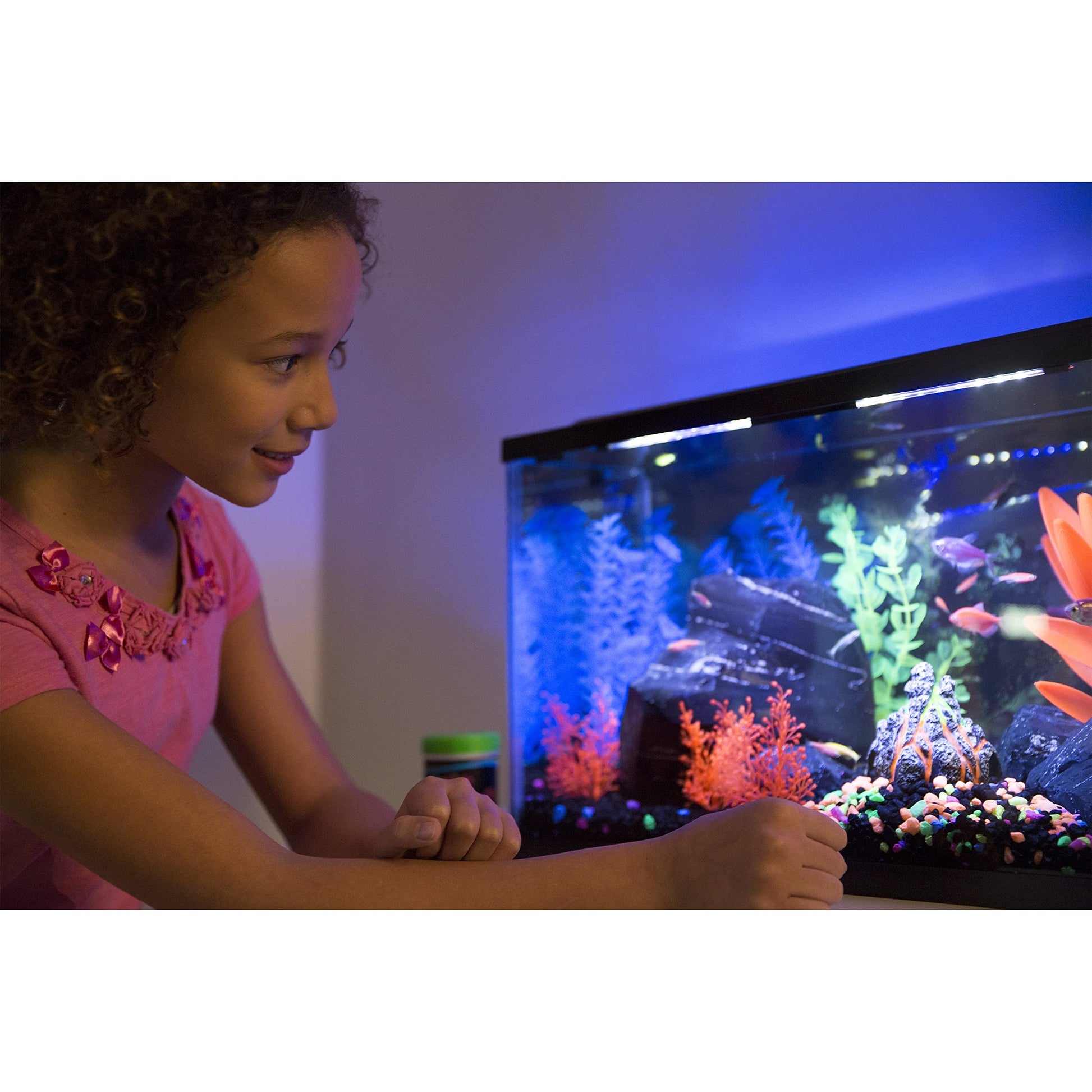 Your one-stop shop for diverse, top-quality aquarium supplies and accessories