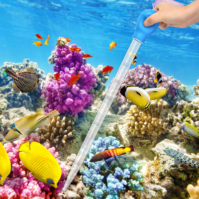 Your one-stop shop for diverse, top-quality aquarium supplies and accessories