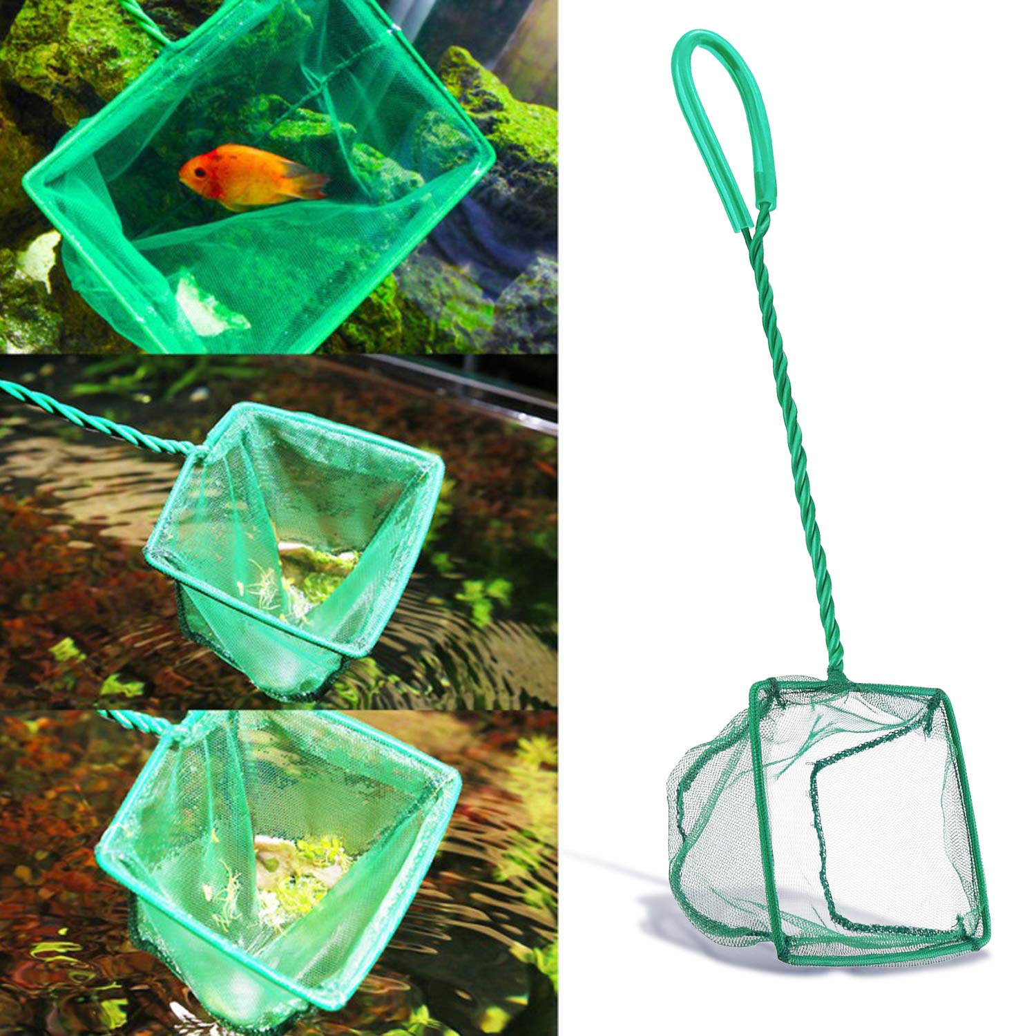Your one-stop shop for diverse, top-quality aquarium supplies and accessories