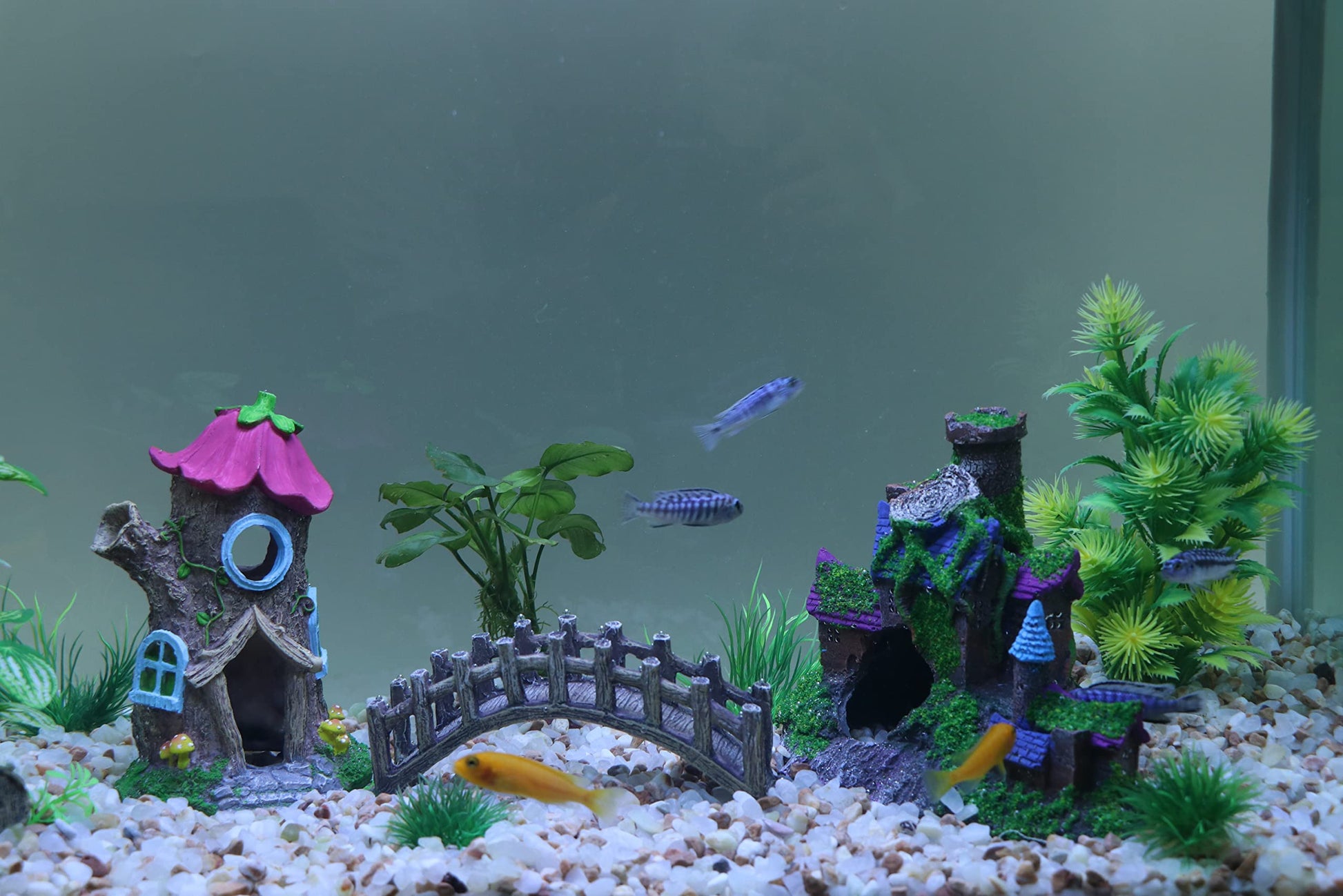 Your one-stop shop for diverse, top-quality aquarium supplies and accessories