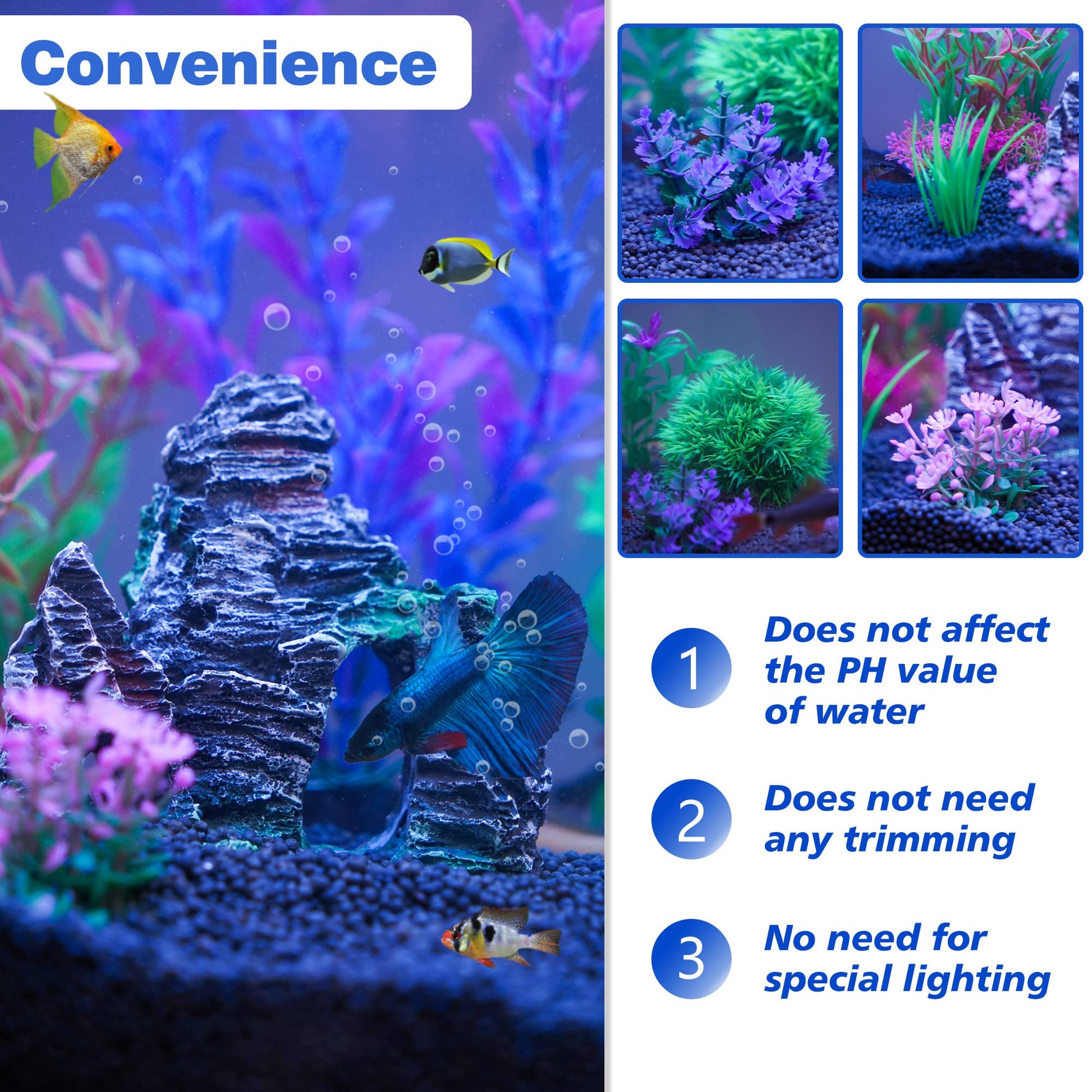 Your one-stop shop for diverse, top-quality aquarium supplies and accessories