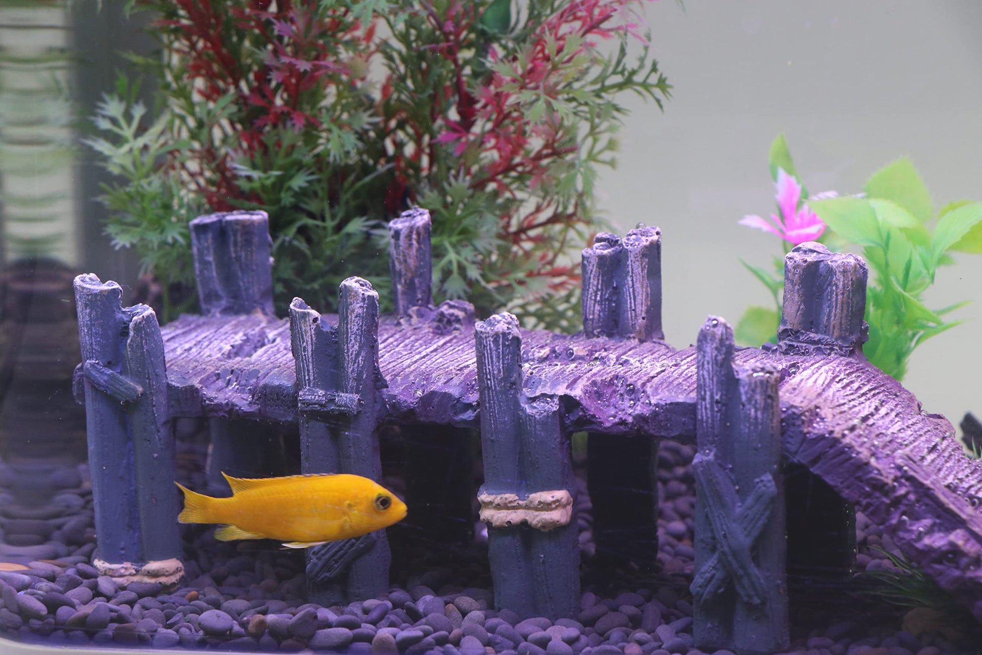Your one-stop shop for diverse, top-quality aquarium supplies and accessories