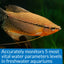 Your one-stop shop for diverse, top-quality aquarium supplies and accessories
