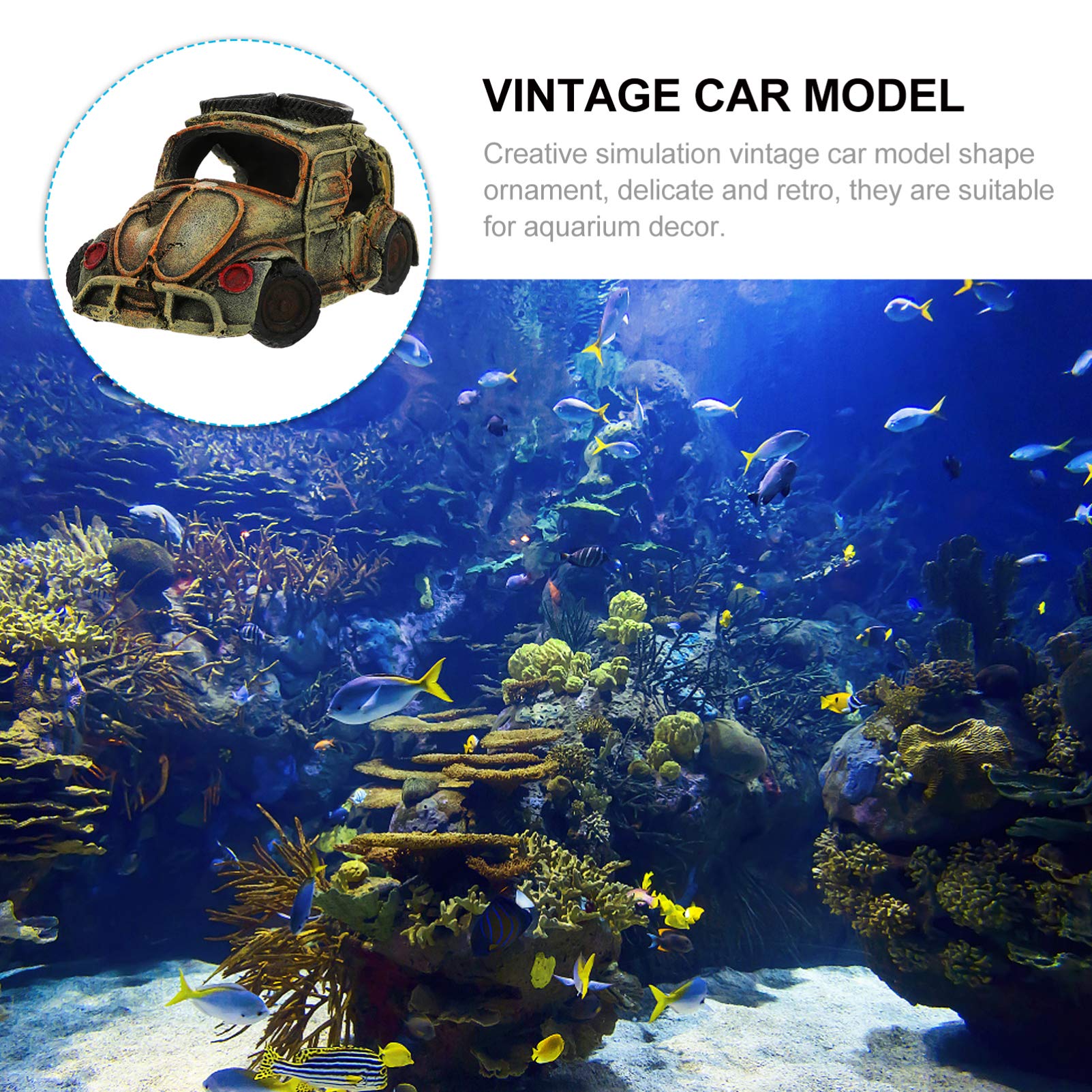 Your one-stop shop for diverse, top-quality aquarium supplies and accessories