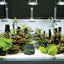 Your one-stop shop for diverse, top-quality aquarium supplies and accessories