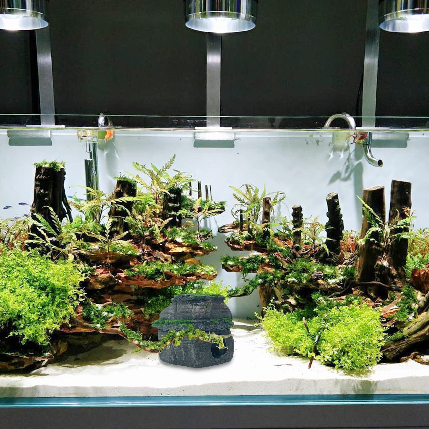 Your one-stop shop for diverse, top-quality aquarium supplies and accessories