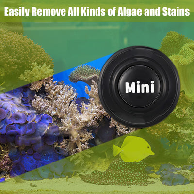 Your one-stop shop for diverse, top-quality aquarium supplies and accessories