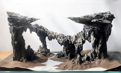 Your one-stop shop for diverse, top-quality aquarium supplies and accessories