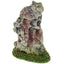 Your one-stop shop for diverse, top-quality aquarium supplies and accessories