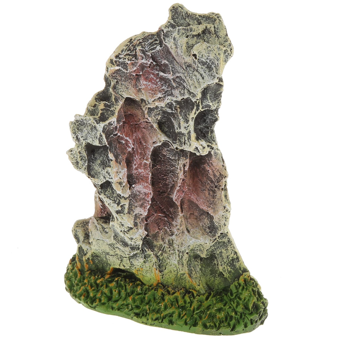 Your one-stop shop for diverse, top-quality aquarium supplies and accessories