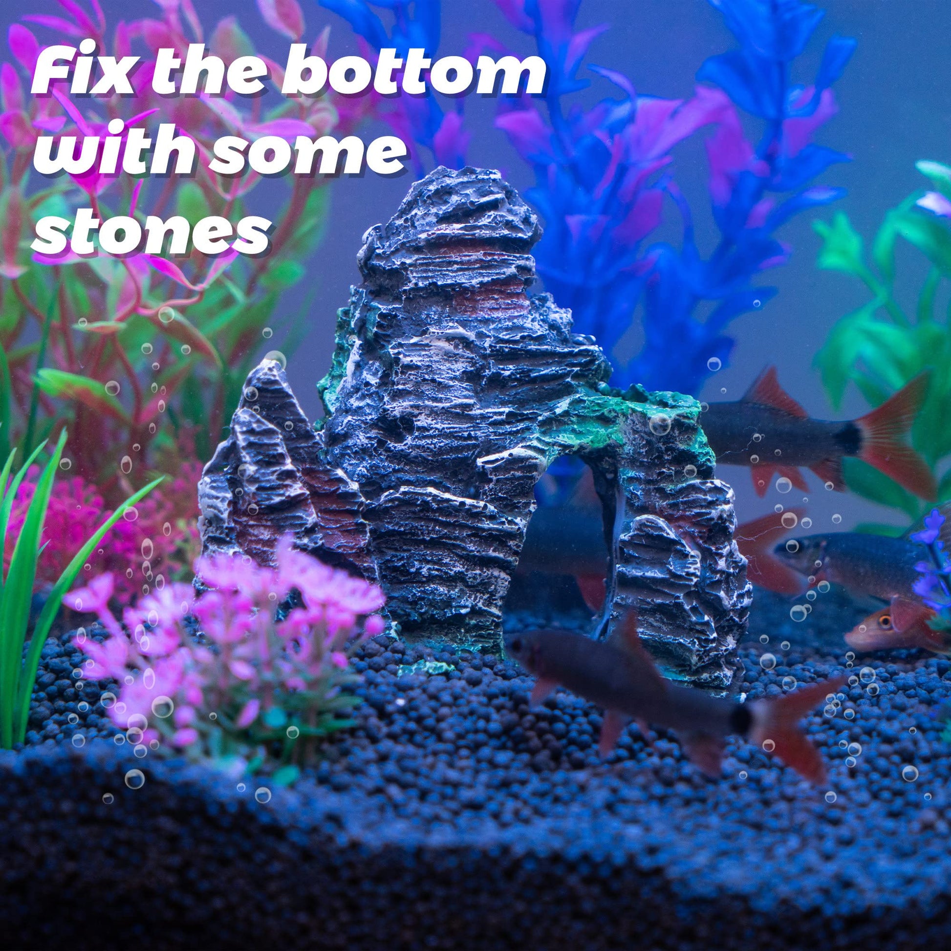 Your one-stop shop for diverse, top-quality aquarium supplies and accessories