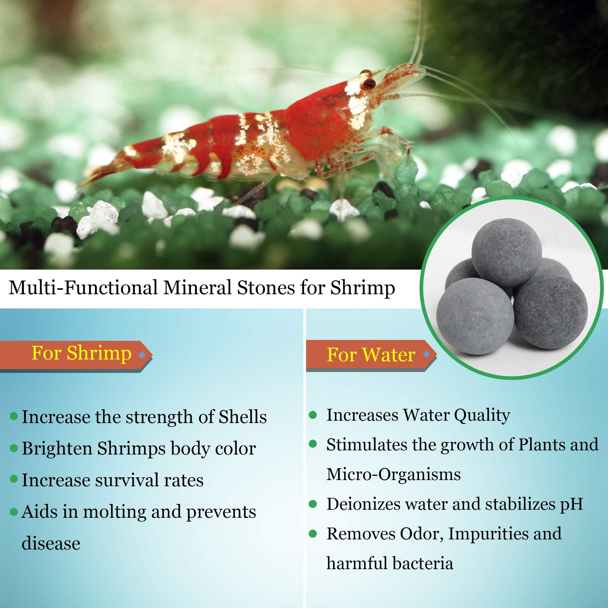 Your one-stop shop for diverse, top-quality aquarium supplies and accessories