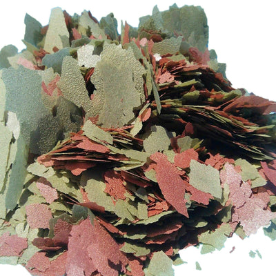 Your one-stop shop for diverse, top-quality aquarium supplies and accessories