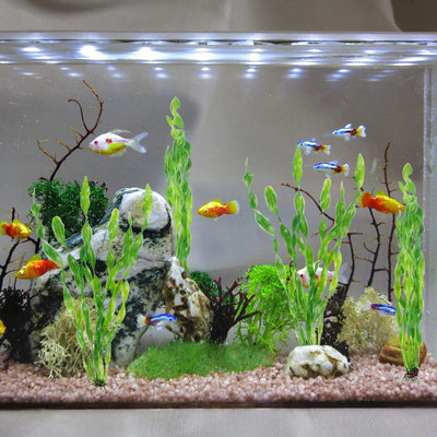 Your one-stop shop for diverse, top-quality aquarium supplies and accessories